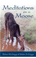 Meditations on a Moose