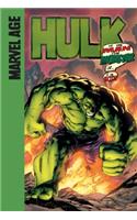 Hulk is He Man or Monster or... is He Both?