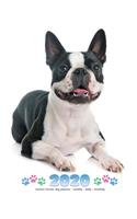 2020 Boston Terrier Dog Planner - Weekly - Daily - Monthly