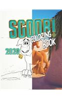Scoob Coloring Book