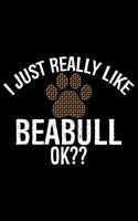 I Just Really Like Beabull Ok?