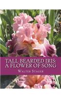 Tall Bearded Iris