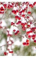 2019 Weekly Planner Winter Berries Red White Christmas Colors Snowstorm 134 Page: (Notebook, Diary, Blank Book)(2019 Planners Calendars Organizers Datebooks Appointment Books Agendas)