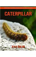 Caterpillar! Learn about Caterpillar and Enjoy Colorful Pictures