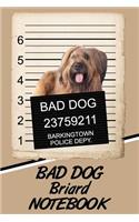 Bad Dog Briard Notebook