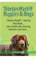 Tibetan Mastiff Puppies & Dogs
