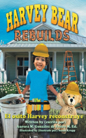 Harvey Bear Rebuilds