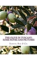 The Olive In Tuscany