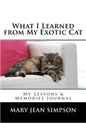 What I Learned from My Exotic Cat
