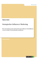 Strategisches Influencer Marketing: Wie Unternehmen in der nischenrelevanten Influencer Identifikation von der sozialen Netzwerkanalyse profitieren