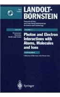Collisions of Electrons with Atomic Ions