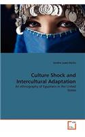 Culture Shock and Intercultural Adaptation