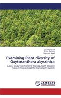 Examining Plant diversity of Oxytenanthera abyssinica