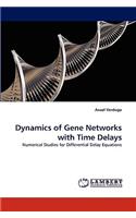 Dynamics of Gene Networks with Time Delays
