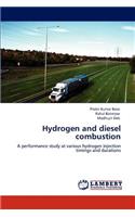 Hydrogen and Diesel Combustion