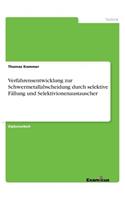 Verfahrensentwicklung zur Schwermetallabscheidung durch selektive Fällung und Selektivionenaustauscher