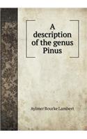 A Description of the Genus Pinus