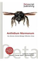 Anthidium Mormonum: (English)