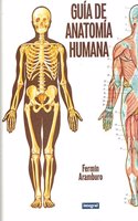 Guma de Anatomma Humana