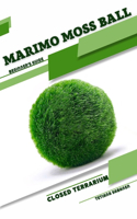 Marimo Moss Ball