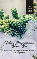 Sedum Morganianum 'Golden Glow': Unlocking the Magic of Desert Plants, For Beginners