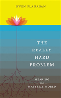 The Really Hard Problem: Meaning in a Material World(The Really Hard Problem)