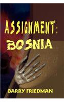 Assignment: Bosnia