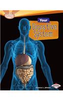 Your Digestive System