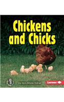 Chickens and Chicks