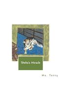 Sheba's Miracle