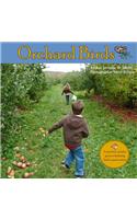 Orchard Birds