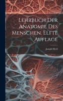 Lehrbuch der Anatomie des Menschen. Elfte Auflage