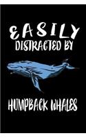 Easily Distracted By Humpback Whales: Animal Nature Collection