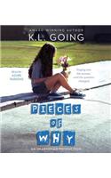 Pieces of Why