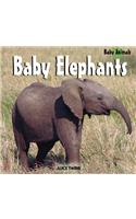 Baby Elephants