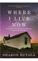 Where I Live Now: A Journey Through Love and Loss to Healing and Hope
