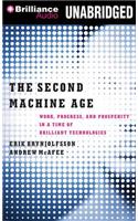 The Second Machine Age: Work, Progress, and Prosperity in a Time of Brilliant Technologies: Library Edition