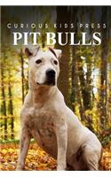 Pit bull - Curious Kids Press