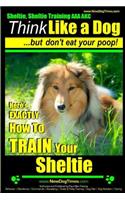 Sheltie, Sheltie Training AAA AKC - Think Like a Dog But Don't Eat Your Poop!: Here's EXACTLY How To TRAIN Your Sheltie(Sheltie, Sheltie Training)