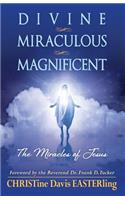 Divine Miraculous Magnificent