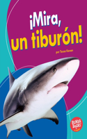 ¡Mira, un tiburón! (Look, a Shark!): (Bumba Books en español — Veo animales marinos (I See Ocean Animals))