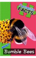 Fantastic Facts about Bumble Bees: Illustrated Fun Learning for Kids: Illustrated Fun Learning for Kids