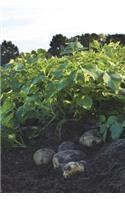 Potatoes on the Ground Journal: 150 Page Lined Notebook/Diary