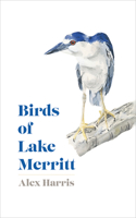 Birds of Lake Merritt