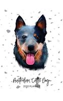 Australian Cattle Dog 2020 Planner