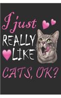 I Just Really Like Cats Ok Notebook Cute Animal Funny Cats Gift Daughter Notebook/Journal 6x9 100 Pages