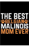 The Best Belgian Malinois Mom Ever