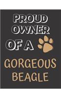 Proud Owner of a Beautiful Beagle