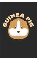 guinea pig