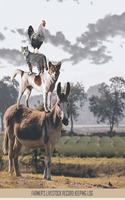 Farmer's Livestock Record Keeping Log